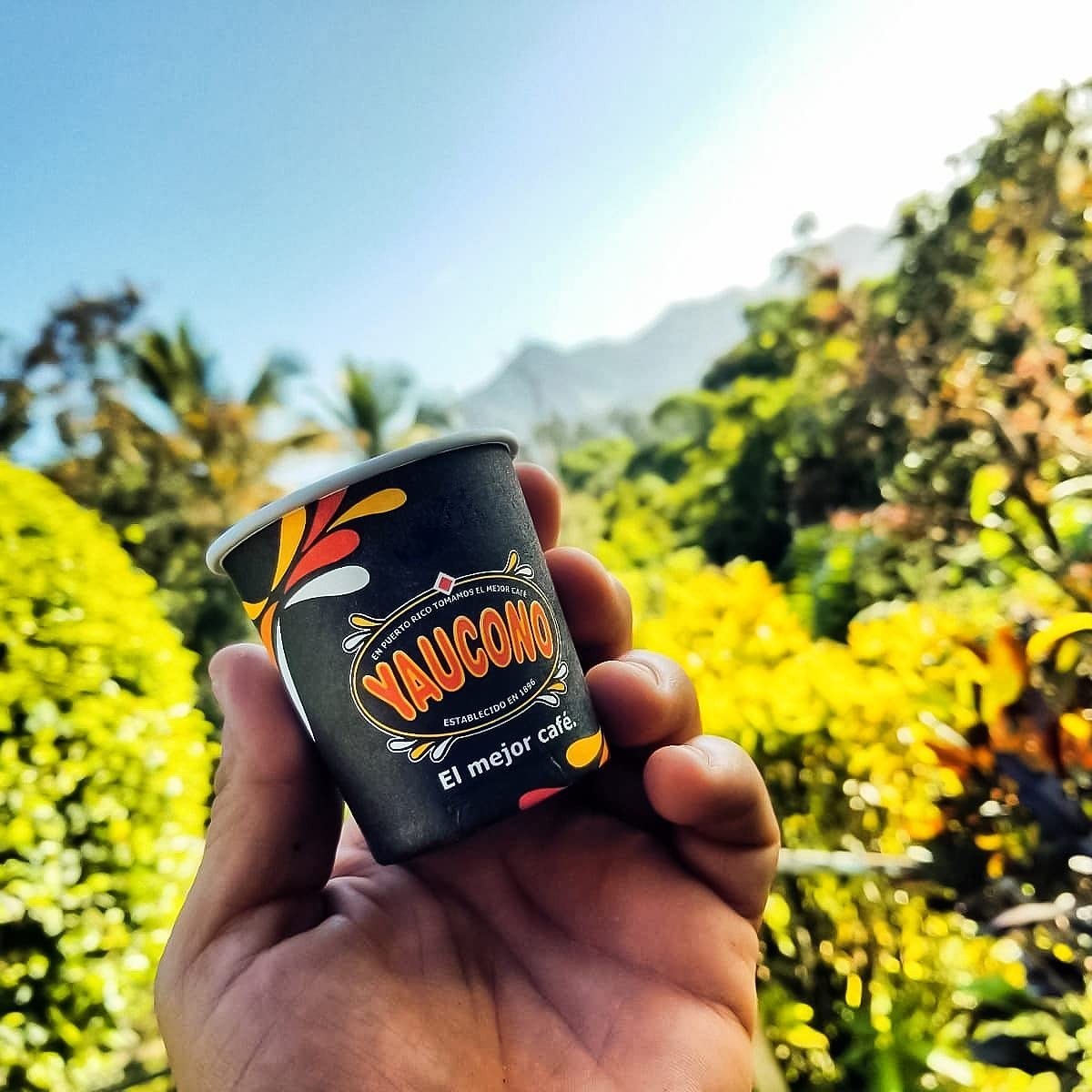 Yaucono branded coffee cup held outdoors against a sunny mountain backdrop